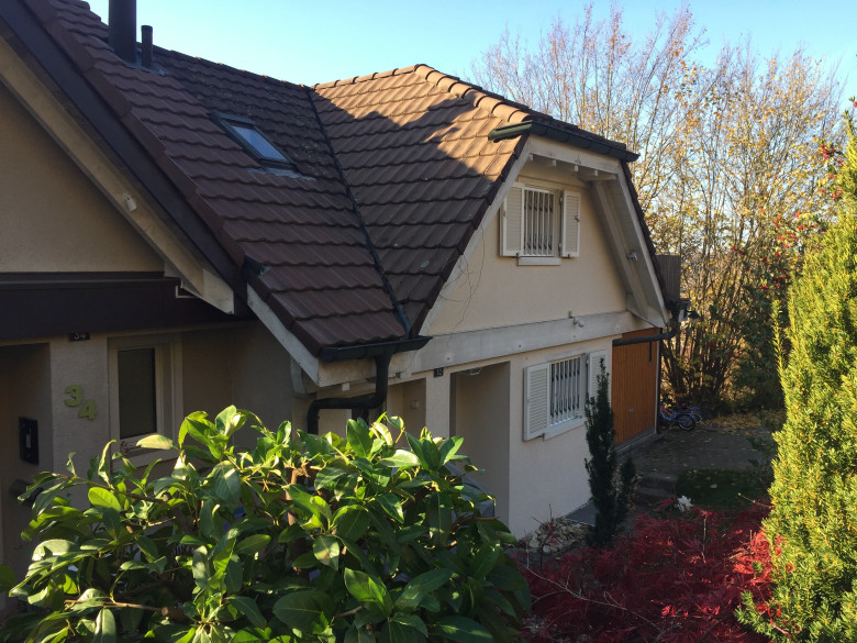 Einfamilienhaus Kaufen Münchenstein